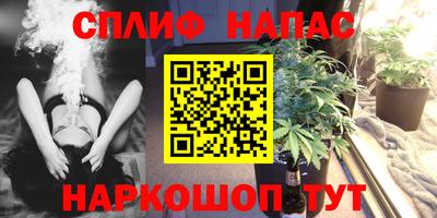 ешки Новозыбков