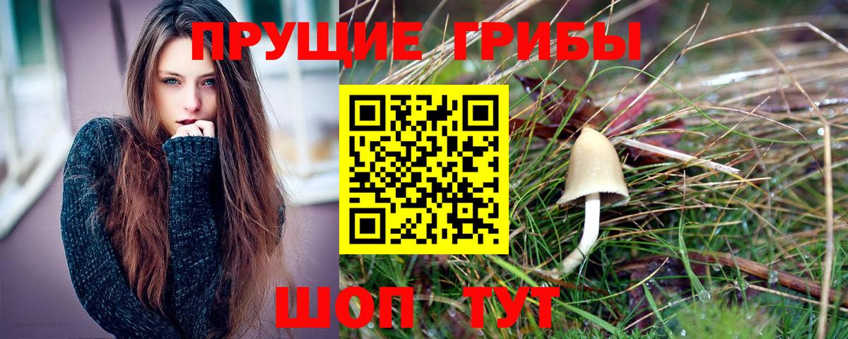 Псилоцибиновые грибы мухоморы Соликамск