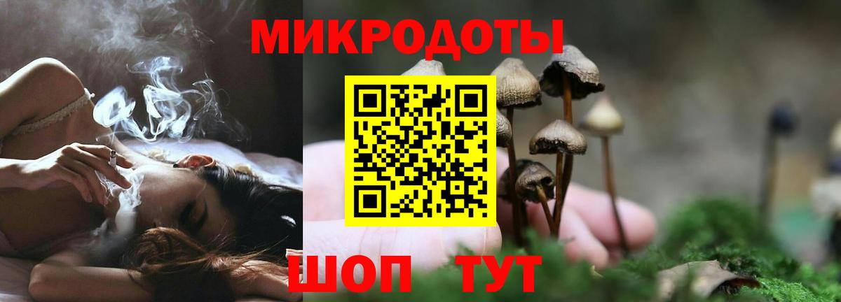 Псилоцибиновые грибы Psilocybe  Галлюциногенные грибы мухоморы  купить наркоту  Соликамск  Вход с VPN 